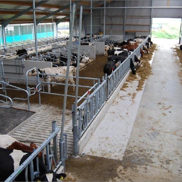 Grote foto slagboom veerondersteund lengte 300 550 cm dieren en toebehoren runderen