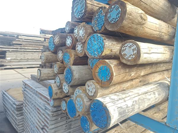 Grote foto cloeziana kop 12 400cm duurzaamheid klasse 1 doe het zelf en verbouw hout en planken