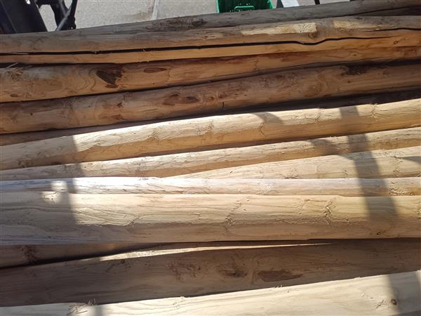 Grote foto kastanje palen kop 7 160cm doe het zelf en verbouw hout en planken