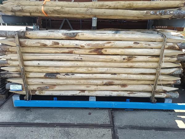 Grote foto kastanje palen kop 8 10 300 cm doe het zelf en verbouw hout en planken