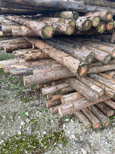 Grote foto palen kop 12 14 naaldhout 400cm doe het zelf en verbouw hout en planken