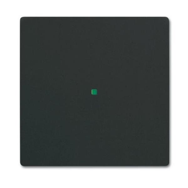 Grote foto free home bedieningswip 1 v future linear mat zwart aan uit schakelaar verzamelen overige verzamelingen
