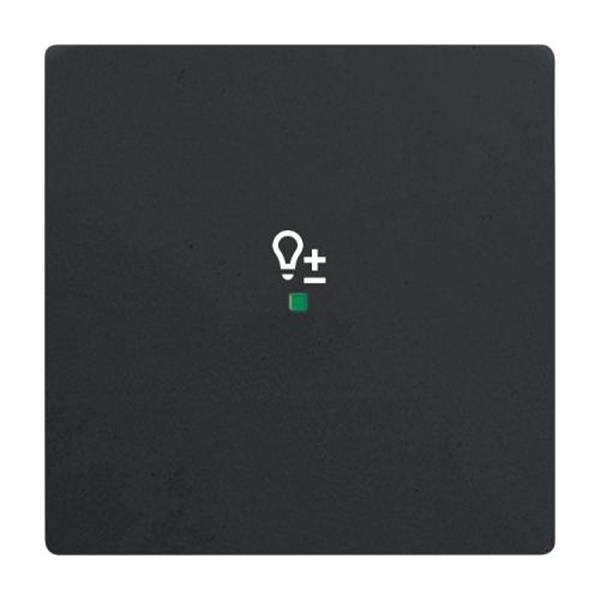 Grote foto free home bedieningswip 1 v future linear mat zwart dimmer schakelaar verzamelen overige verzamelingen