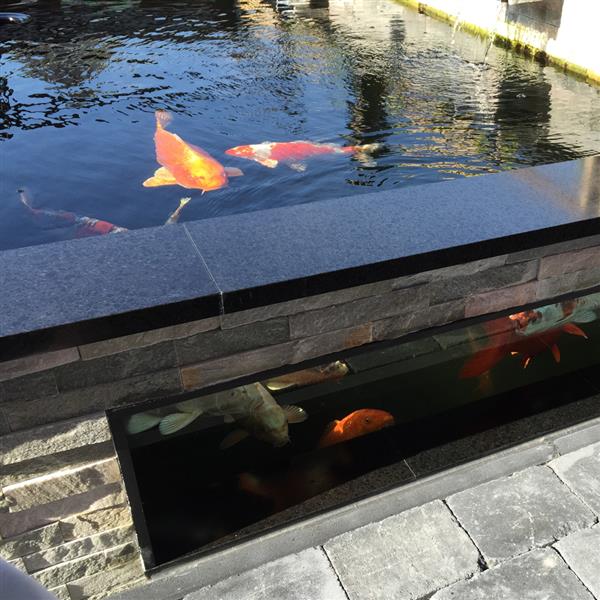 Grote foto vijverranden basalt gezoet olivian black tuin en terras vijvers en toebehoren