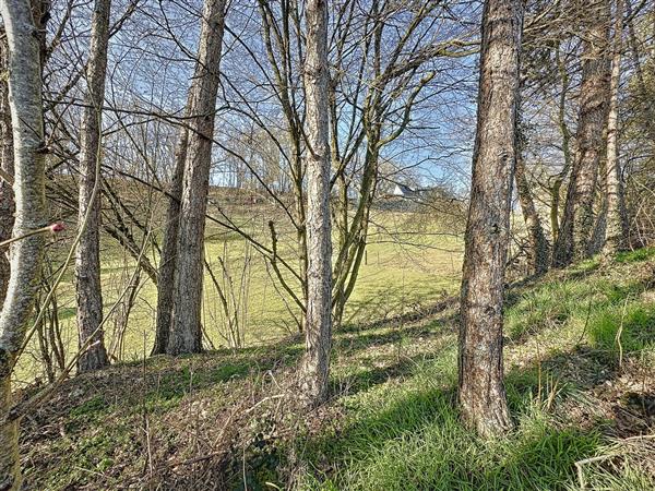 Grote foto hamoir 1 vos agences vastgoed in de ardennen huizen en kamers kavels europa