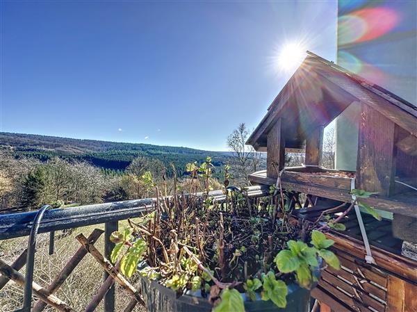 Grote foto nassogne 107 vos agences vastgoed in de ardennen huizen en kamers appartementen en flats