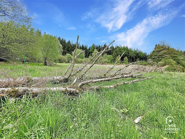 Grote foto la fourche vos agences vastgoed in de ardennen huizen en kamers kavels europa