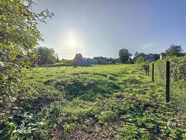 Grote foto waha vos agences vastgoed in de ardennen huizen en kamers kavels europa