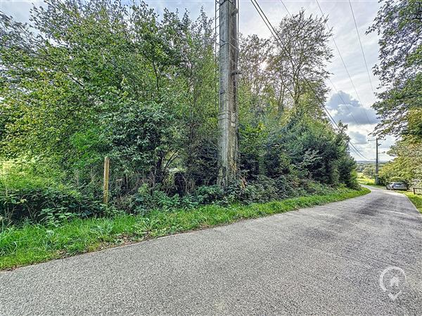 Grote foto erez e sy fays vos agences vastgoed in de ardennen huizen en kamers kavels europa