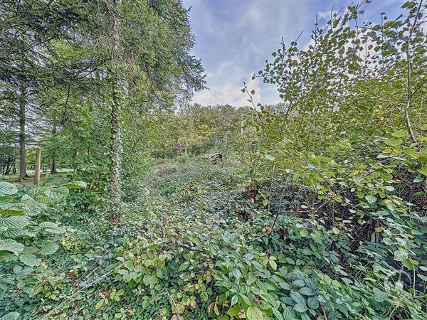 Grote foto erez e sy fays vos agences vastgoed in de ardennen huizen en kamers kavels europa