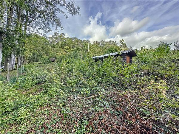 Grote foto erez e sy fays vos agences vastgoed in de ardennen huizen en kamers kavels europa