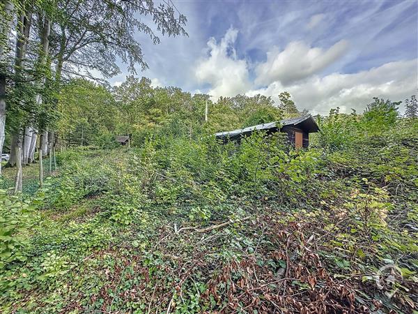 Grote foto erez e sy fays vos agences vastgoed in de ardennen huizen en kamers kavels europa