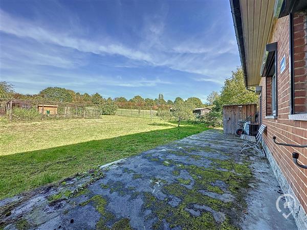 Grote foto hotton vos agences vastgoed in de ardennen huizen en kamers bestaand europa