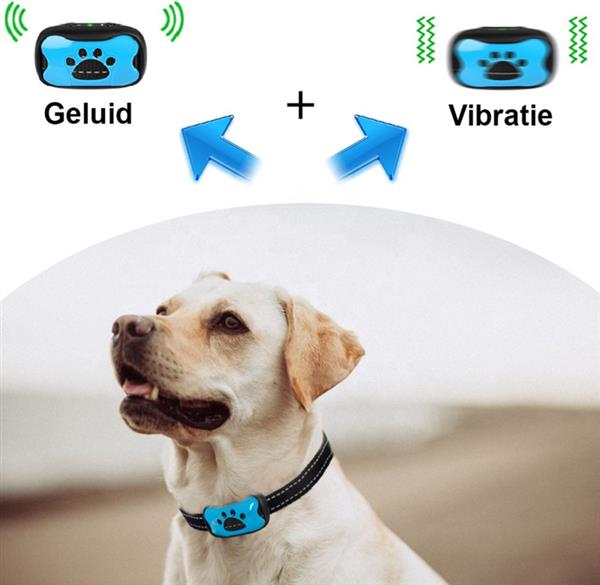 Grote foto vibratie anti blafband antiblafband geluid hond honden waterdicht blauw dieren en toebehoren toebehoren