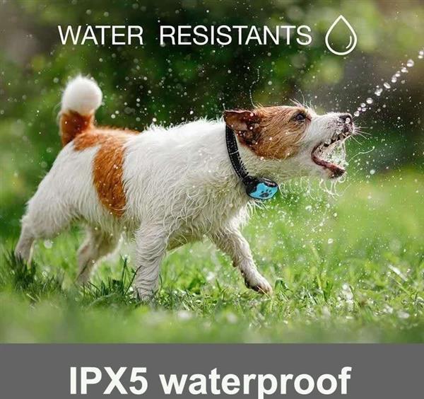 Grote foto vibratie anti blafband antiblafband geluid hond honden waterdicht oranje dieren en toebehoren toebehoren