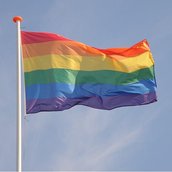 Grote foto regenboog lgbtq vlag pride rainbow flag vlaggen xl 90x150cm groot diversen vlaggen en wimpels