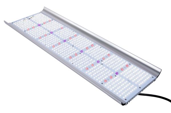 Grote foto apollo quantum board 320w tuin en terras overige tuin en terras