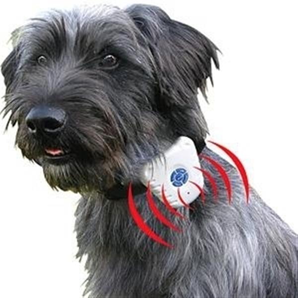 Grote foto anti blafband antiblafband geluid hond honden zonder shock schok dieren en toebehoren toebehoren