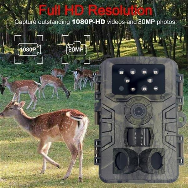 Grote foto wildlife camera buiten wildcamera 2.7k 20mp fullhd waterdicht audio tv en foto algemeen