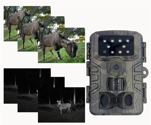 Grote foto wildlife camera buiten wildcamera 2.7k 20mp fullhd waterdicht audio tv en foto algemeen