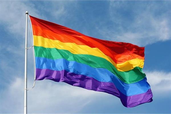 Grote foto regenboog lgbtq vlag pride rainbow flag vlaggen xl 90x150cm groot diversen vlaggen en wimpels