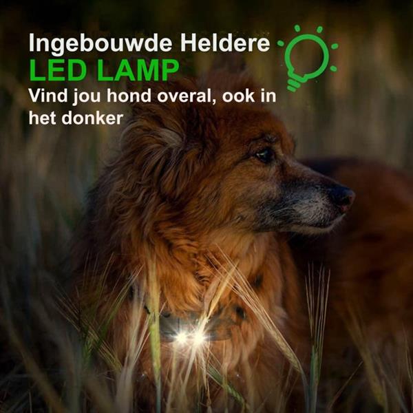 Grote foto anti blaf blafband antiblafband hond antiblaf halsband zwart dieren en toebehoren toebehoren