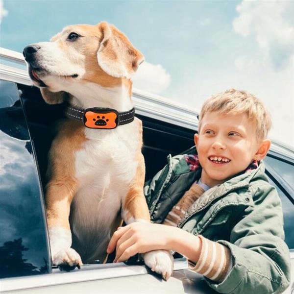 Grote foto vibratie anti blafband antiblafband geluid hond honden waterdicht grijs dieren en toebehoren toebehoren