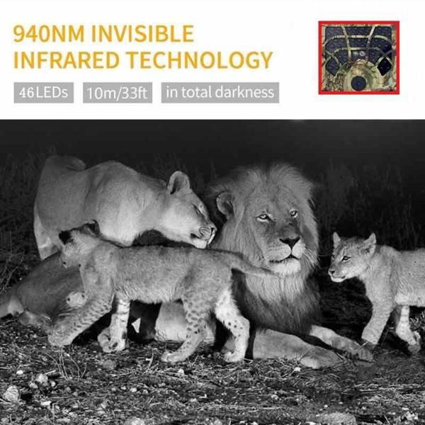 Grote foto wildlife camera wildcamera jachtcamera fullhd wild waterdicht 12mp audio tv en foto algemeen