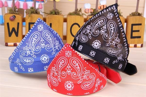 Grote foto hond honden en kat katten halsband bandana leer s m l xl 4 kleuren dieren en toebehoren toebehoren