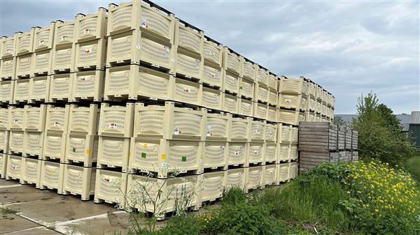 Grote foto palletboxen kunststof fruitkisten agrarisch tuinbouw