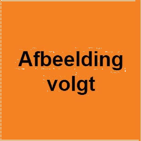 Grote foto vs 21408 elektrische triplex stapelaar crown initiele lift 4750mm doe het zelf en verbouw hefwerktuigen