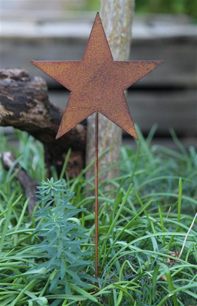Grote foto tuinsteker ster roestkleurig metaal dicht ss238 tuin en terras tuindecoratie