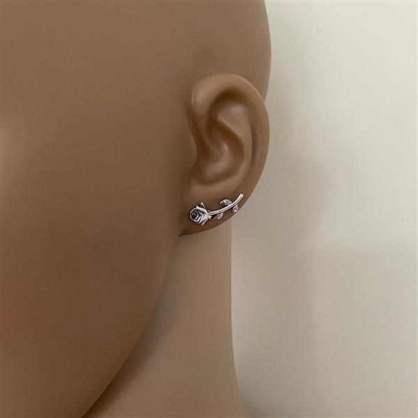 Grote foto zilveren roos oorstekers sieraden tassen en uiterlijk oorbellen