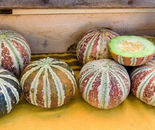 Grote foto kajari suikermeloen aanrader geurmeloen verzamelen overige verzamelingen