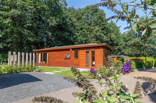 Grote foto geniet van een heerlijke vakantie op de veluwe huizen en kamers recreatiewoningen