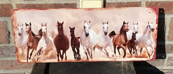 Grote foto decoratiebord paarden met veulens metaal groot dbp440 huis en inrichting woningdecoratie