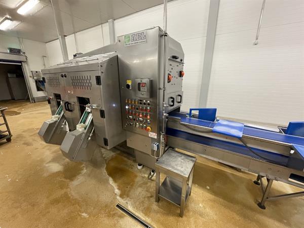 Grote foto abl op30 pel en snijlijn voor sinaasappels agrarisch tuinbouw