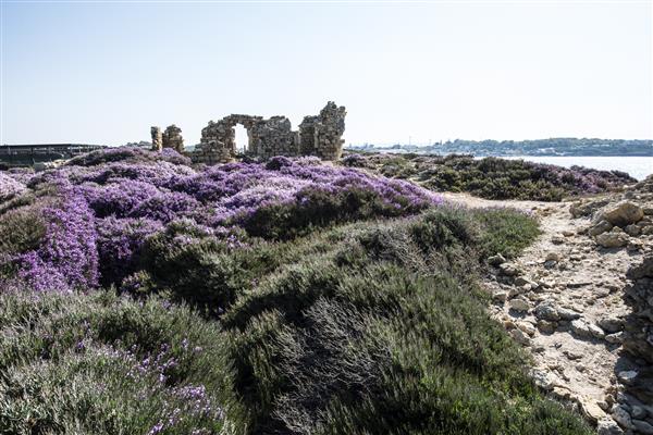 Grote foto camping in sicili vakantie italie