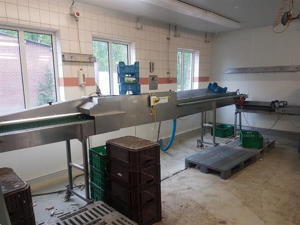 Grote foto christiaens asperges sorteermachine agrarisch tuinbouw