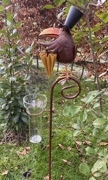 Grote foto regenmeter vogel raaf met paraplu hoed en bril rm165b tuin en terras tuindecoratie