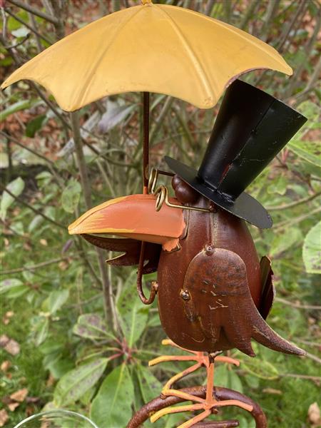Grote foto regenmeter vogel raaf met paraplu hoed en bril rm165a verzamelen overige verzamelingen