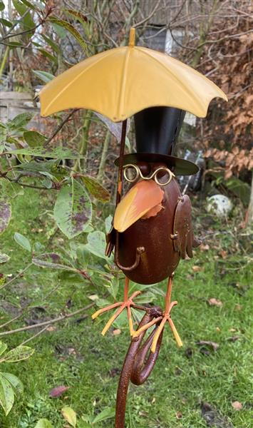Grote foto regenmeter vogel raaf met paraplu hoed en bril rm165a verzamelen overige verzamelingen