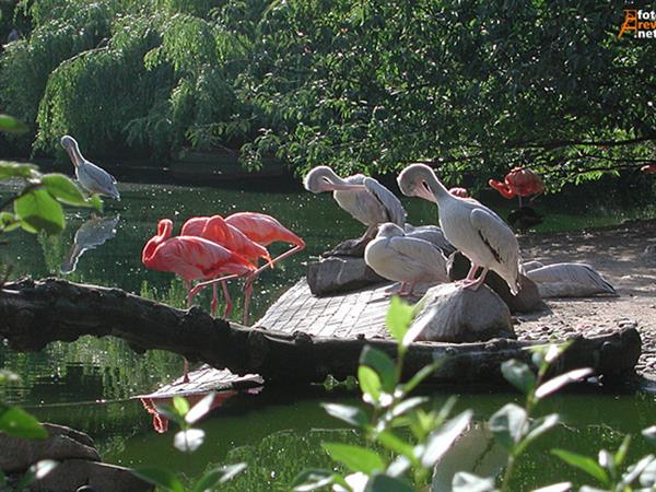 Grote foto geldige zoo duisburg korting uitverkoop 2023 tickets en kaartjes dierentuinen