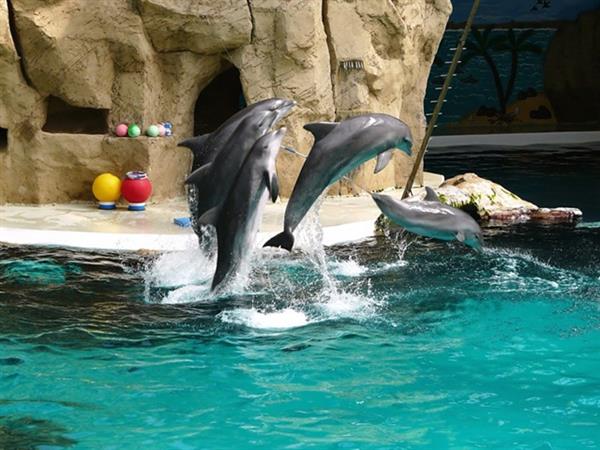 Grote foto geldige zoo duisburg korting uitverkoop 2023 tickets en kaartjes dierentuinen