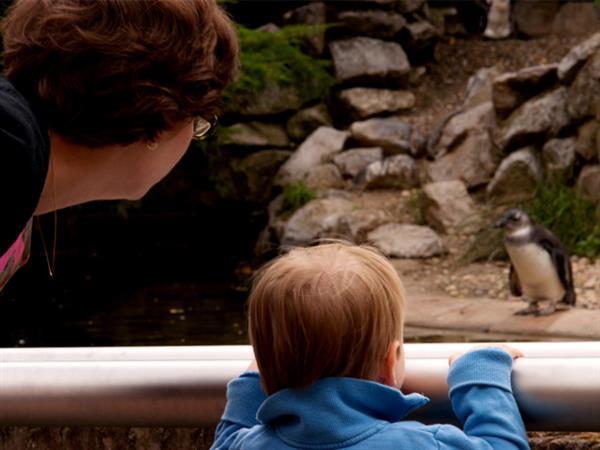 Grote foto geldige burgers zoo korting uitverkoop 2023 tickets en kaartjes dierentuinen