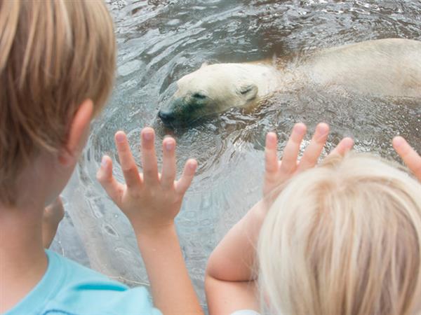 Grote foto geldige aquazoo leeuwarden korting uitverkoop 2023 tickets en kaartjes dierentuinen