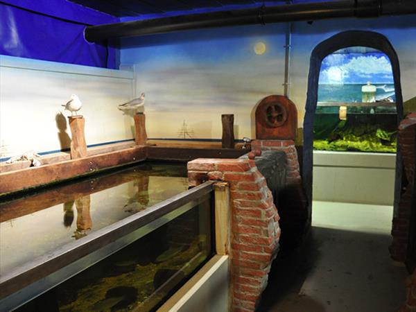 Grote foto geldige muzee aquarium delfzijl korting uitverkoop 2023 tickets en kaartjes overige tickets en kaartjes