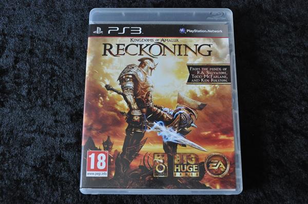 Grote foto kingdoms of amalun reckoning playstation 3 ps3 spelcomputers games playstation 3