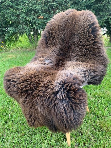 Grote foto nederlandse schapenvacht lang haar xxl tuin en terras tuindecoratie