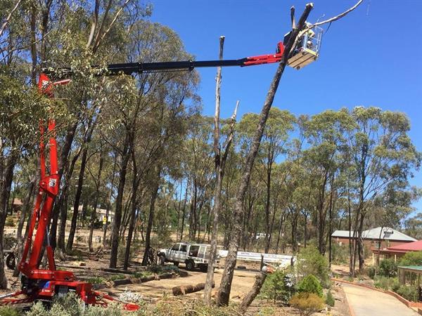 Grote foto ruthmann bluelift sa 16 doe het zelf en verbouw hoogwerkers